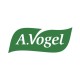 A.Vogel