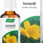 A.Vogel Tormentil Complex Oral Drops (50ml)