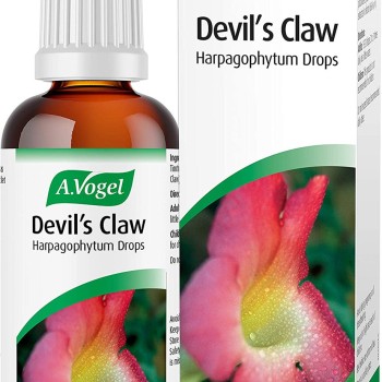 A.Vogel Devil's Claw Oral Drops (100ml)